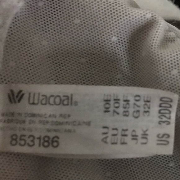 32DDD Wacoal bra - Picture 5 of 5
